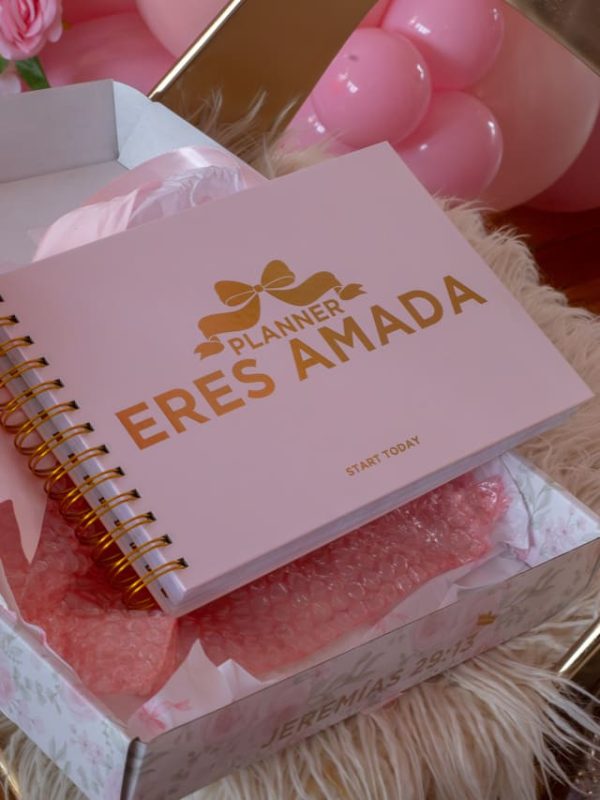 planner-eres-amada5